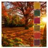 An autumn sunset is the inspiration for this Colour Stack of 6 yarn cakes called Autumn