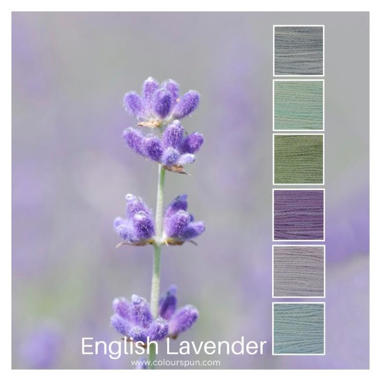 English Lavender flowers inspired this colourstack of 6 colours called English Lavender