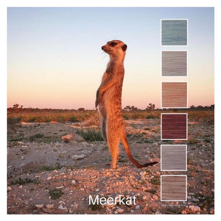 Meerkat is a Colour Stack of 6 colours inspired by a lone meerkat on guard in the Kalahari