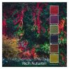Rich Autumn is a Colour Stack of 6 colours inspired by an autumn garden