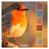 Robin is a Colour Stack of 6 colours inspired by the feathers of a robin bird