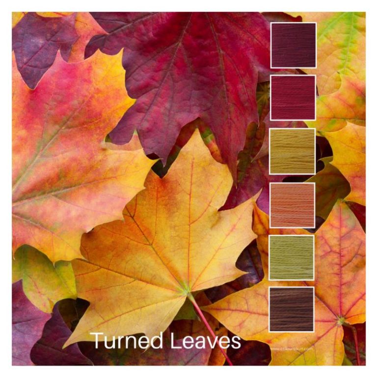 Turned Leaves is a Colour Stack of 6 colours inspired by the changing colours of Autumn leaves