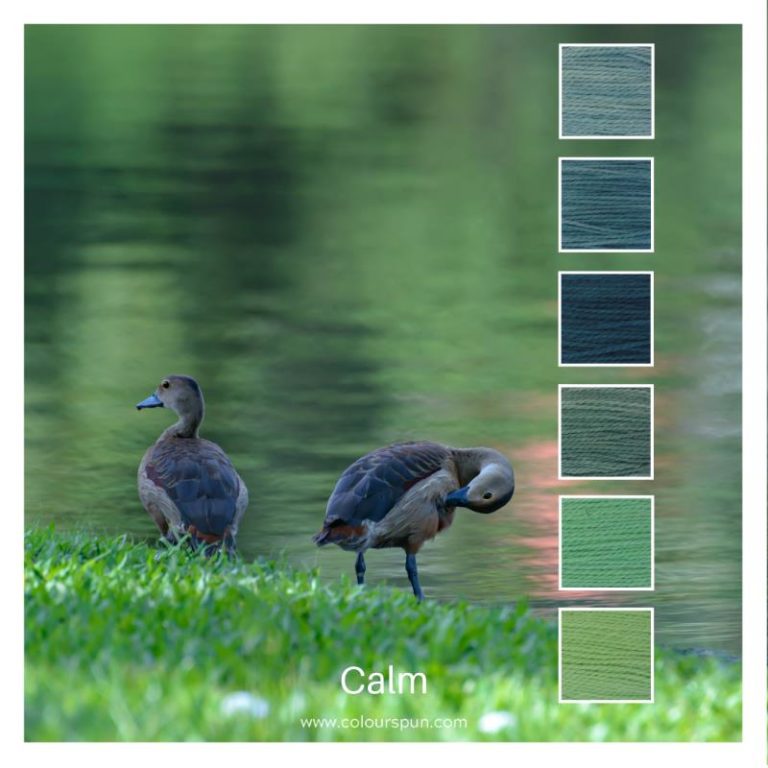 Calm is a Colour Stack of 6 colours inspired by a Teal Ducks on a grassy bank at the side of a calm lake.