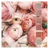 Renunculus is a colour stack of 6 ColourSpun Pure Cotton colours inspired by a bunch of Renunculus flowers in different shades of pink
