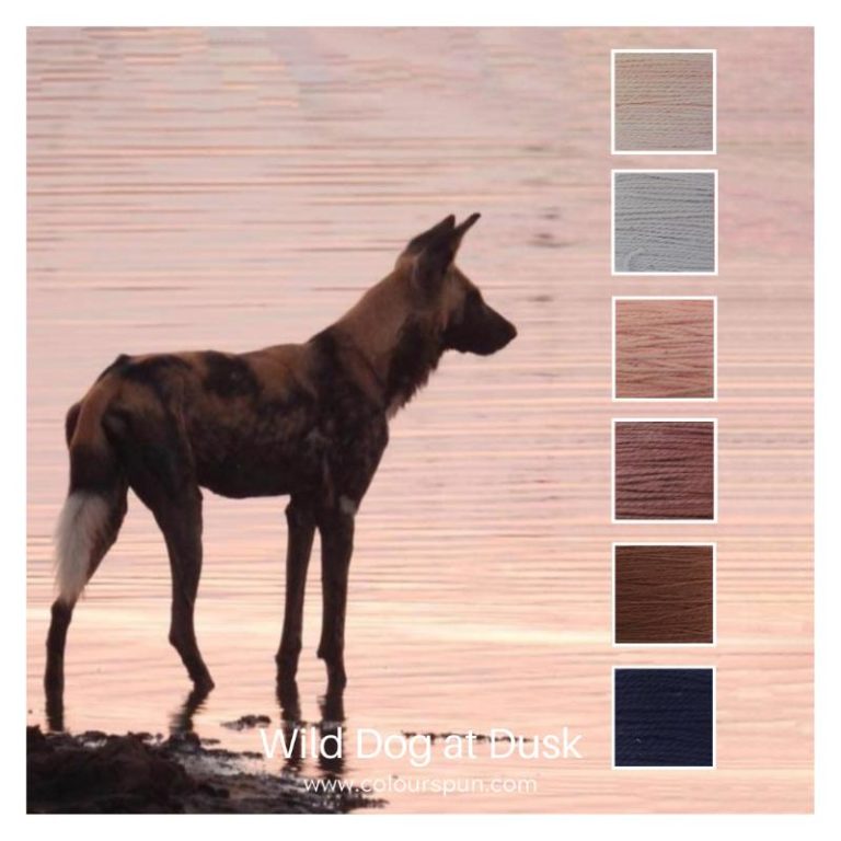 Wild dog at dusk is a colour stack of 6 ColourSpun Pure Cotton colours inspired by a wild dog standing a a water hole at dusk.