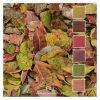 Fall is a Colour Stack of 6 colours inspired by fallen leaves
