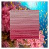 Coral Reef ombre stack. 6 shades of a colour from light to dark.