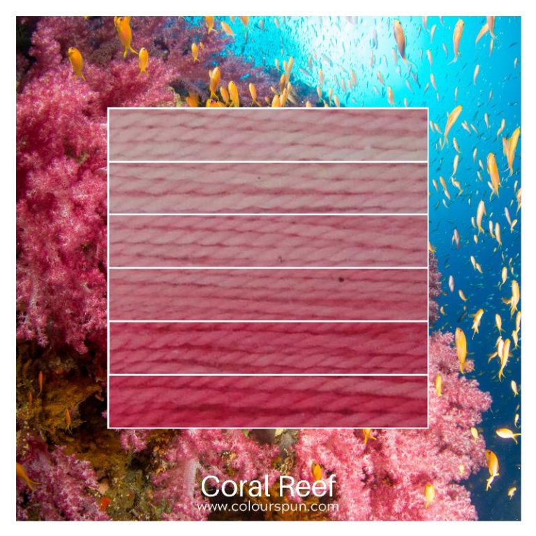 Coral Reef ombre stack. 6 shades of a colour from light to dark.