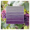 Purple Grapes ombre stack. 6 shades of a colour from light to dark.