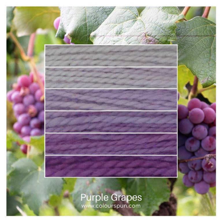 Purple Grapes ombre stack. 6 shades of a colour from light to dark.