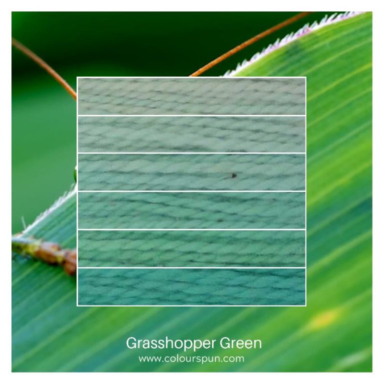 Grasshopper Green ombre stack. 6 shades of a colour from light to dark.