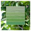 Crisp Apple ombre stack. 6 shades of a colour from light to dark.
