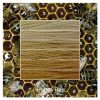 Honey Bee ombre stack. 6 shades of a colour from light to dark.