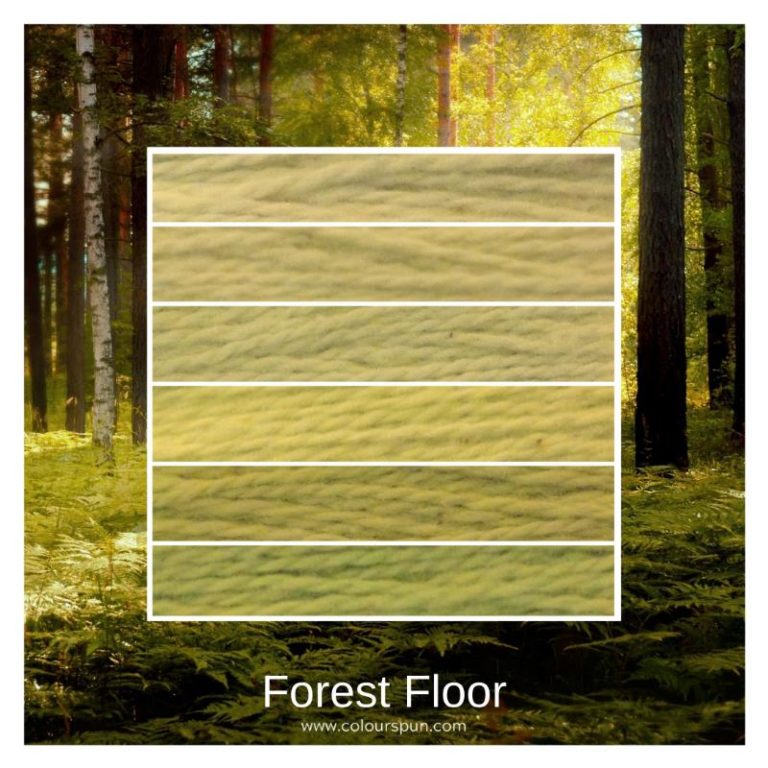 Forest Floor