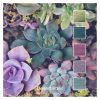 Desert Rose - a Cotton Five colour pack inspired by beautiful succulents