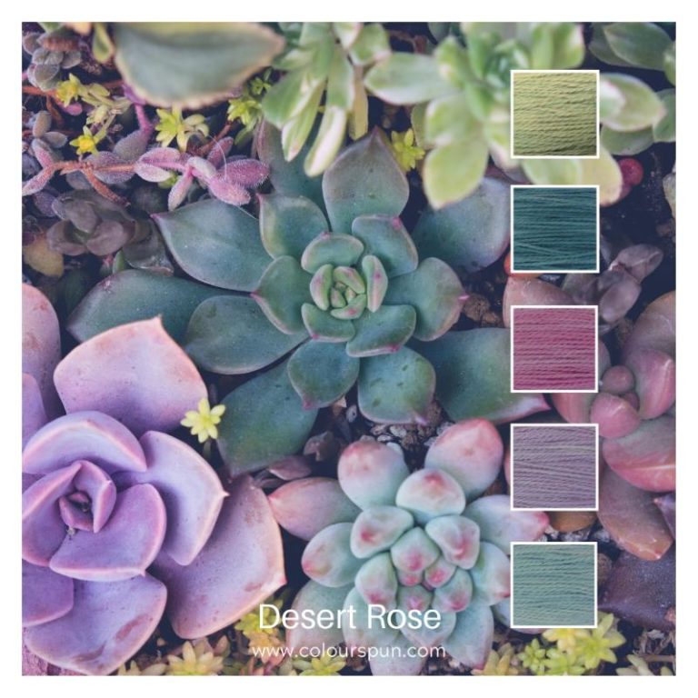 Desert Rose - a Cotton Five colour pack inspired by beautiful succulents