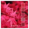 In the Pink - a Cotton Five colour pack inspired by pink foliage