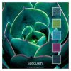 Succulent - a Cotton Five colour pack inspired by a colourful succulent plant