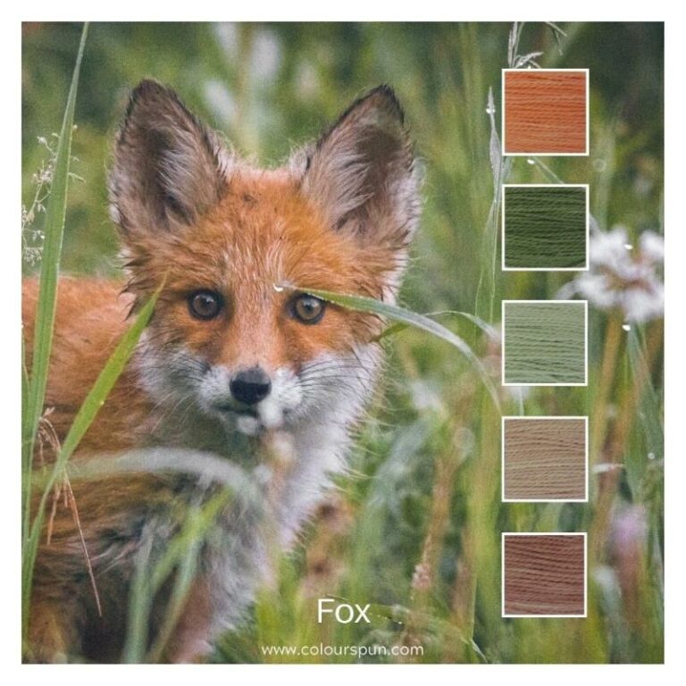 Fox- a Cotton Five colour pack inspired by a fox in natural foliage
