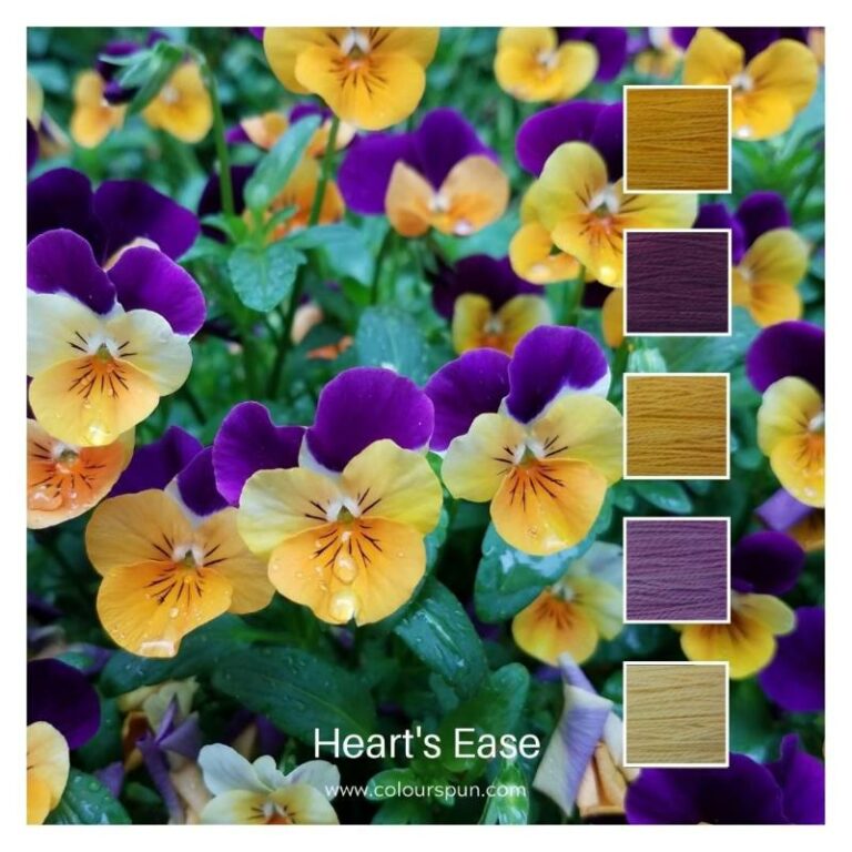 Hearts Ease - a Cotton Five colour pack inspired by Hearts Ease flowers