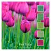 Pink Tulips - a Cotton Five colour pack inspired by bright pink tulip heads on green stems