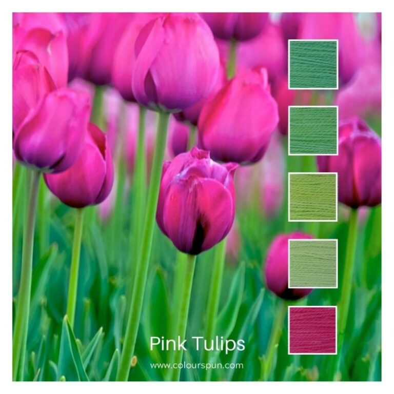 Pink Tulips - a Cotton Five colour pack inspired by bright pink tulip heads on green stems