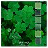 Shamrock is a colour stack of 6 ColourSpun Pure Cotton colours inspired by the greens in clover