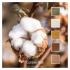 Cotton Boll - a Cotton Five colour pack inspired by natural cotton