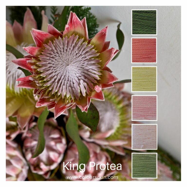 A stack of 6 colours inspired by a King Protea Flower