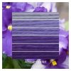 African Violet ombre stack. 6 shades of a colour from light to dark.