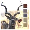 Kudu - a Cotton Five colour pack inspired by a Kudu