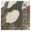 Bark - Five colours inspired by the bark of a Eucalyptus tree