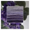 African Violet- ombre stack. 6 shades of a colour from light to dark.