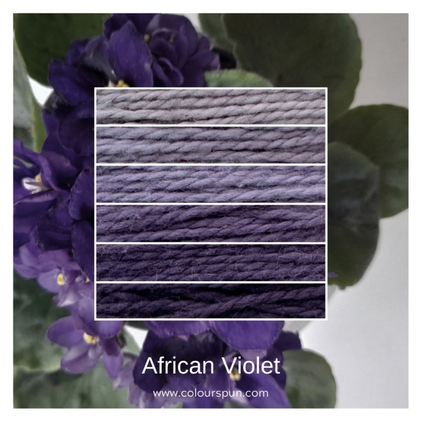 African Violet- ombre stack. 6 shades of a colour from light to dark.